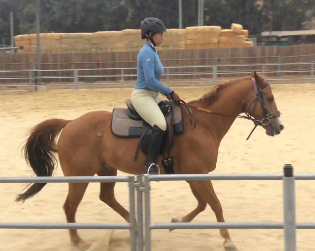 Angela is back to horseback riding despite multiple sclerosis